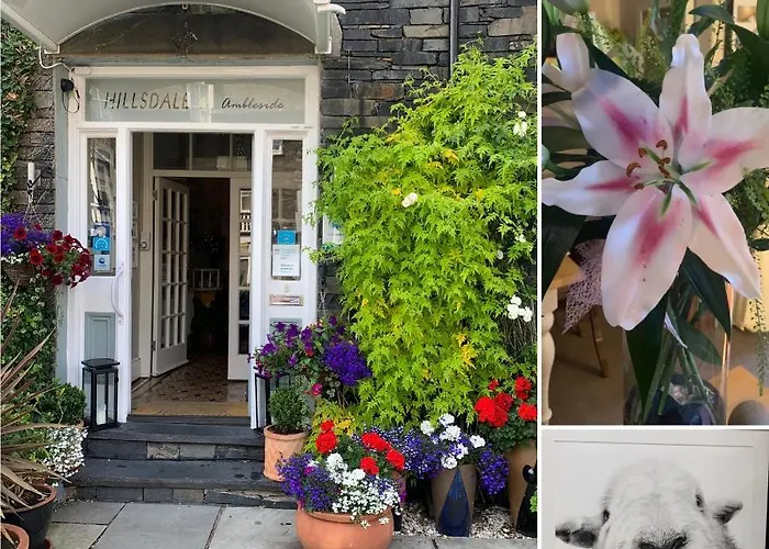 Hillsdale B&B In Ambleside